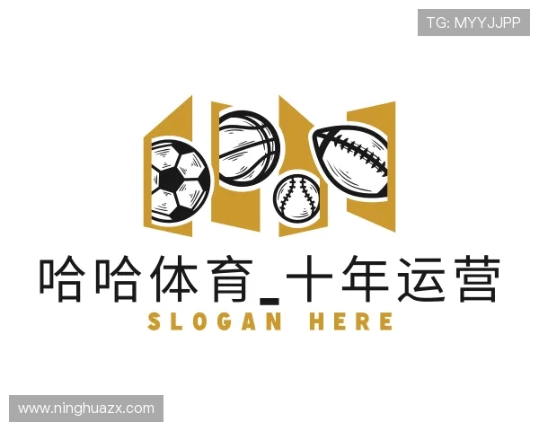 介绍哈哈体育_十年运营